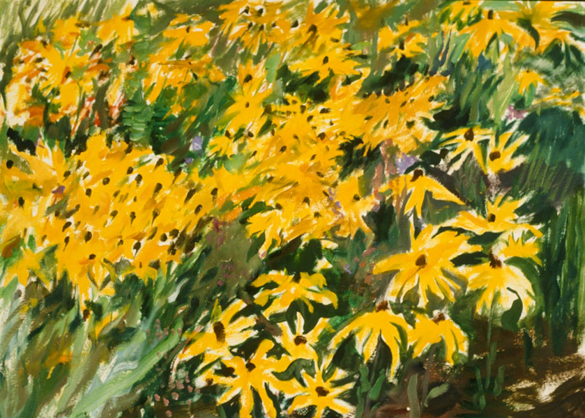 Black Eyed Susans, oil on treated paper, 22"x30"